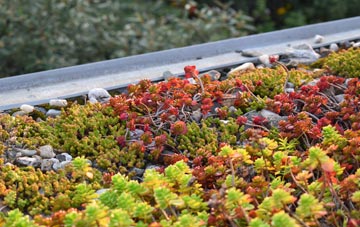 the cost of Lower Farringdon green roof installation