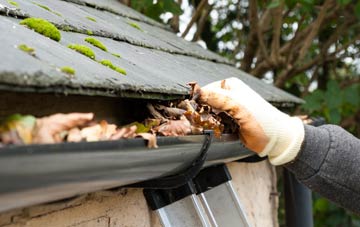gutter cleaning Lower Farringdon, Hampshire