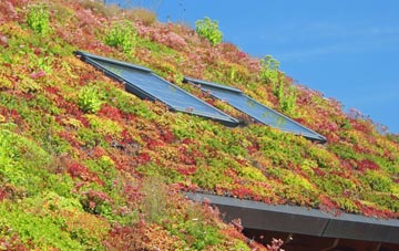 Lower Farringdon living roof systems